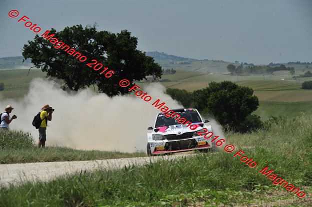 DSC_4733.JPG